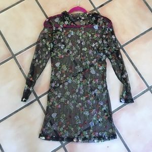 Sheer bodycon embroidered dress